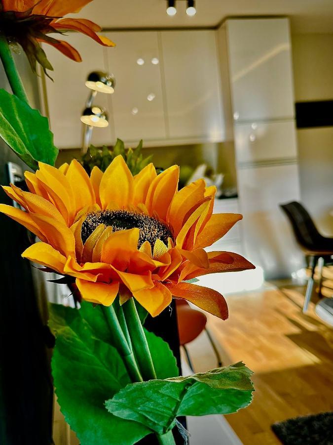 Malaviko, Bazen&Spa Zlatibor Ngoại thất bức ảnh